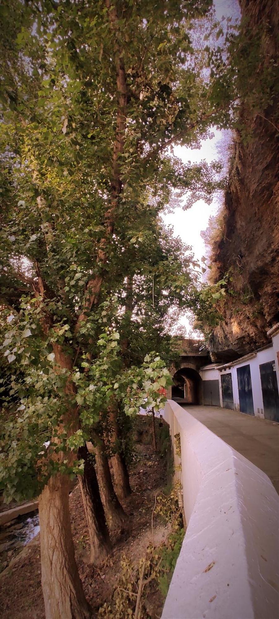 Casa Cueva Las Chicas Del Puente Setenil De Las Bodegas Екстер'єр фото